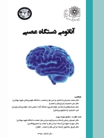  آناتومی دستگاه عصبی