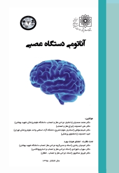  آناتومی دستگاه عصبی