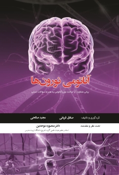 آناتومی نورون ها