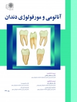 آناتومی و مورفولوژی دندان به همراه CD 