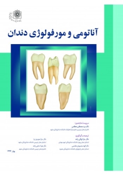 آناتومی و مورفولوژی دندان به همراه CD 