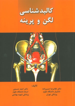 کالبد شناسی لگن و پرینه