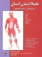 عضلات بدن انسان ، سر و گردن، تنه و اندامها