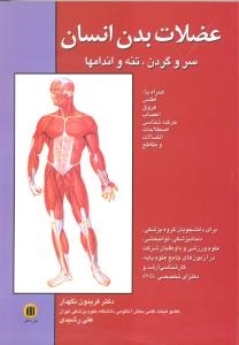 عضلات بدن انسان ، سر و گردن، تنه و اندامها