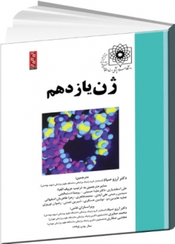 ژن یازدهم