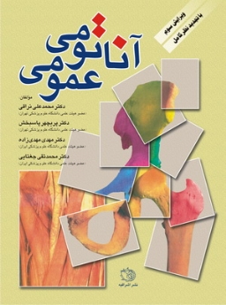 آناتومی عمومی نراقی
