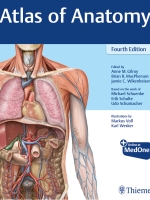 Atlas of Anatomy Fourth Edition 2020