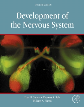 کتاب Development of the Nervous System 4th Edition