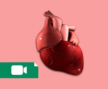 کلاس قلب و عروق، OSCE سال 1399 (Cardiovascular)